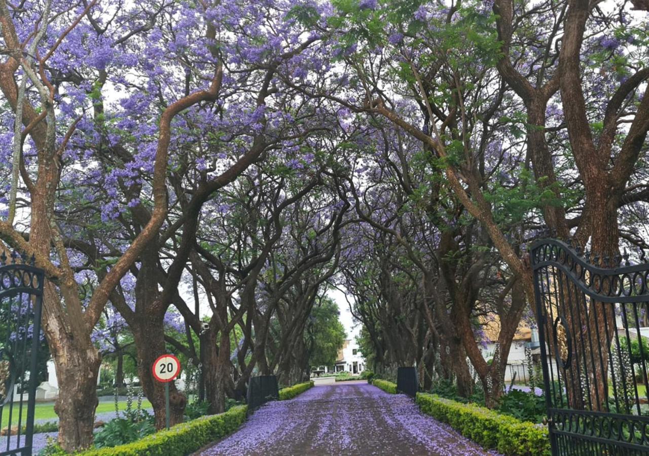 Kievits Kroon Gauteng Wine Estate Преторія Екстер'єр фото
