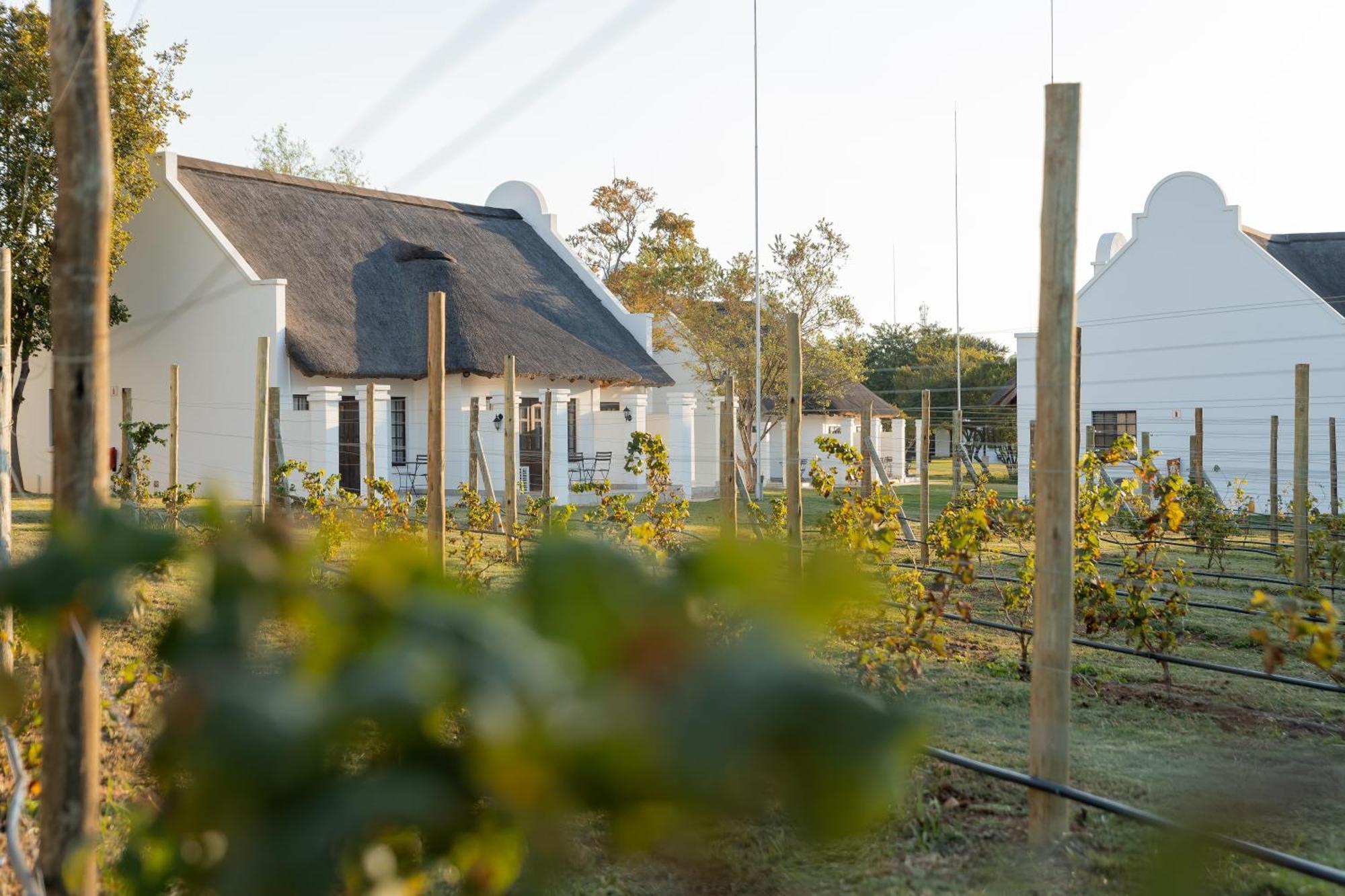 Kievits Kroon Gauteng Wine Estate Преторія Екстер'єр фото
